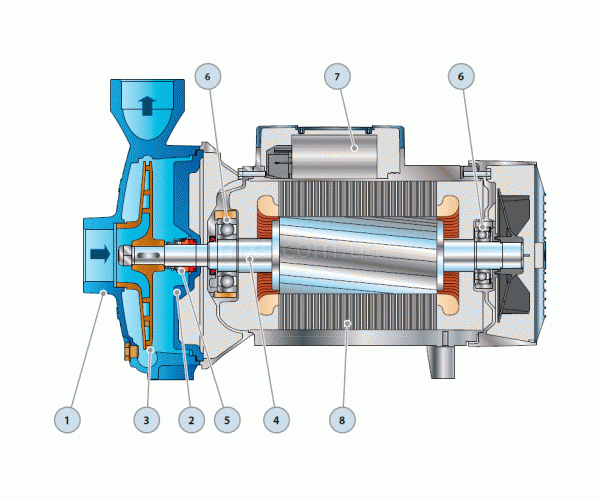 Насос центробежный Pedrollo CP 220C   